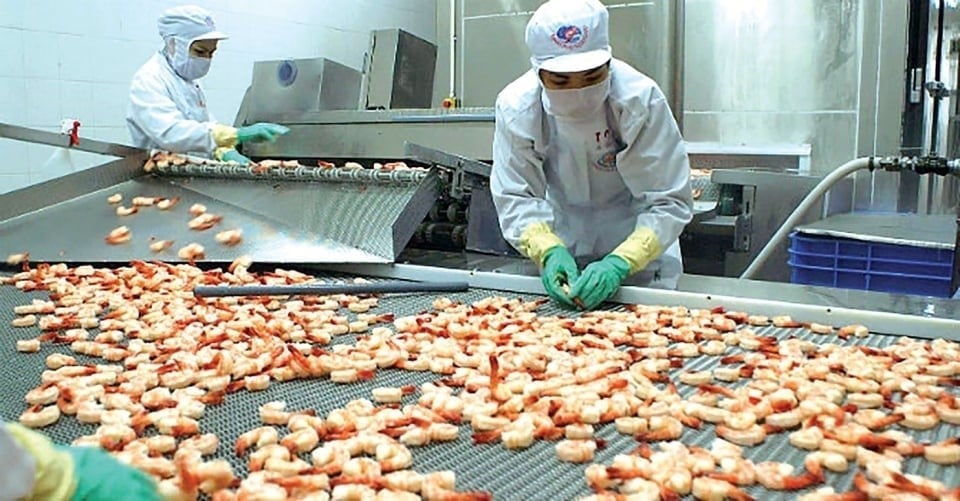 Shrimp continued to be the key export item of Vietnam's fisheries industry in the first months of 2025. Shrimp continued to be the key export item of Vietnam's fisheries industry in the first months of 2025.