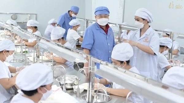 To enter the Chinese market, enterprises must thoroughly study China's regulations to make investments in their factories.