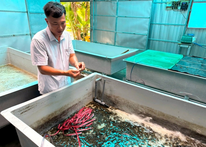 Mr. Nguyen Viet Bac in Mit crab farming area. Photo: An Minh