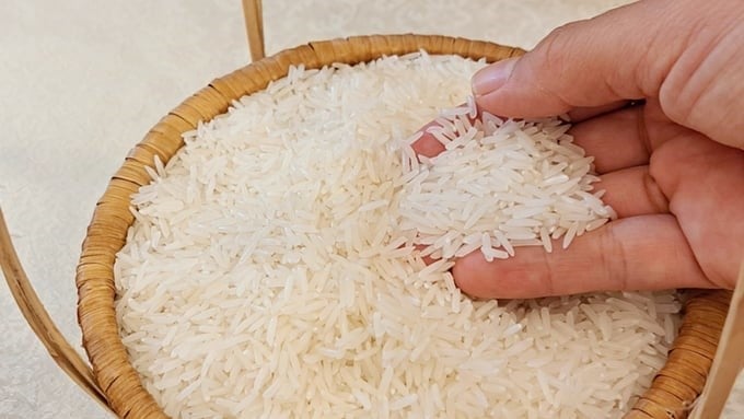 Although competition in the Philippine market has intensified due to export-promotion policies from India and Thailand, Vietnamese rice still holds a solid foothold in this market. Although competition in the Philippine market has intensified due to export-promotion policies from India and Thailand, Vietnamese rice still holds a solid foothold in this market.