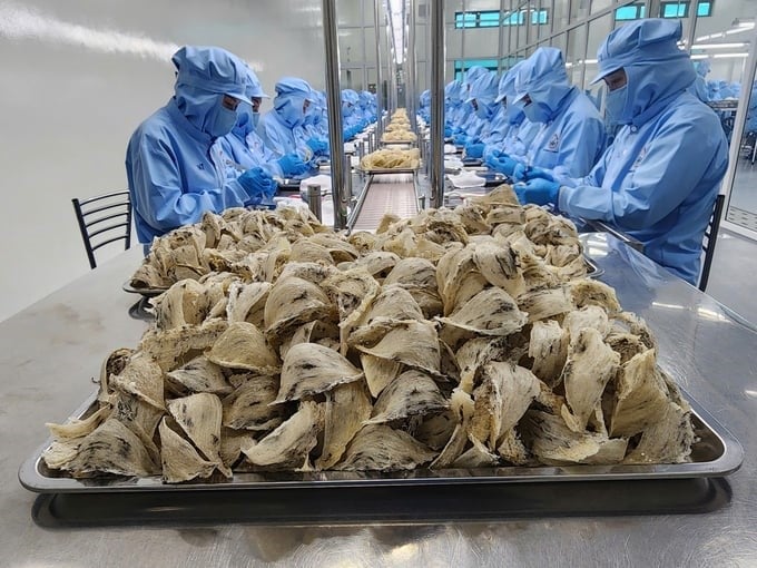 The protocol newly signed in April 2025 added raw bird's nests to the list of exportable products to China.