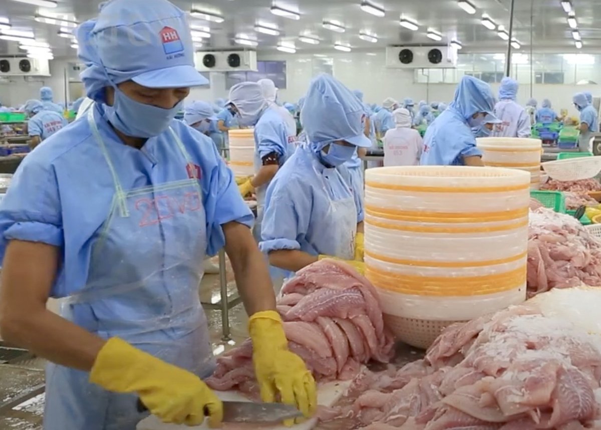 In order to mitigate the effects of the downward pressure on the U.S. market, Vietnamese businesses are increasingly focusing on other main and emerging markets. Photo: Son Trang. In order to mitigate the effects of the downward pressure on the U.S. market, Vietnamese businesses are increasingly focusing on other main and emerging markets. Photo: Son Trang.