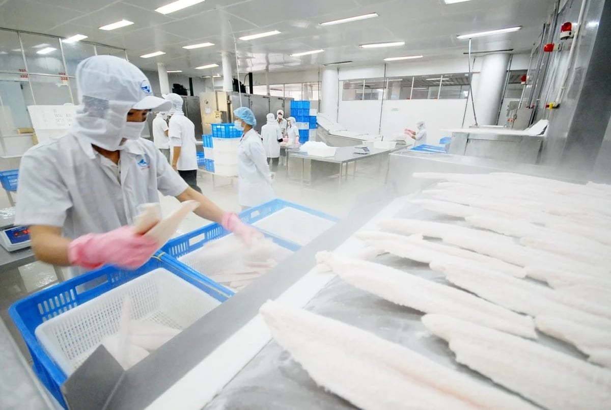 Vietnam is currently the fourth-largest seafood supplier to the Singapore market. Photo: Hong Tham. Vietnam is currently the fourth-largest seafood supplier to the Singapore market. Photo: Hong Tham.