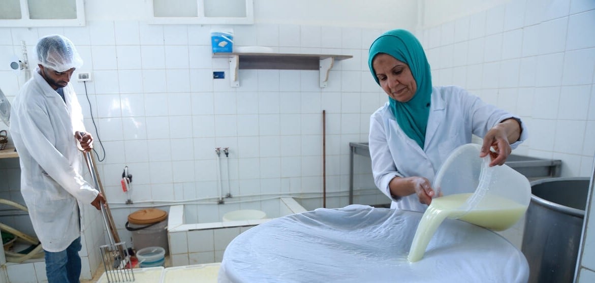 Making cheese in Tunisia. Making cheese in Tunisia.