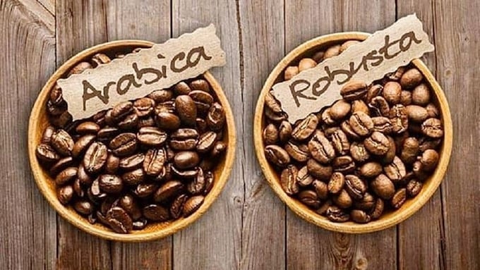 Domestic and global coffee prices on May 12, 2025 Domestic and global coffee prices on May 12, 2025