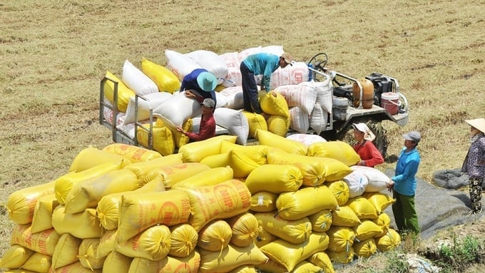 Latest rice prices on May 27, 2025