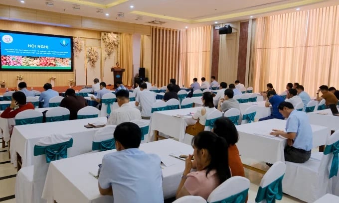 In recent years, the SPS Vietnam Office has closely coordinated with local authorities to organize numerous training conferences for businesses, cooperatives, and farmers. Photo: Bao Thang. In recent years, the SPS Vietnam Office has closely coordinated with local authorities to organize numerous training conferences for businesses, cooperatives, and farmers. Photo: Bao Thang.