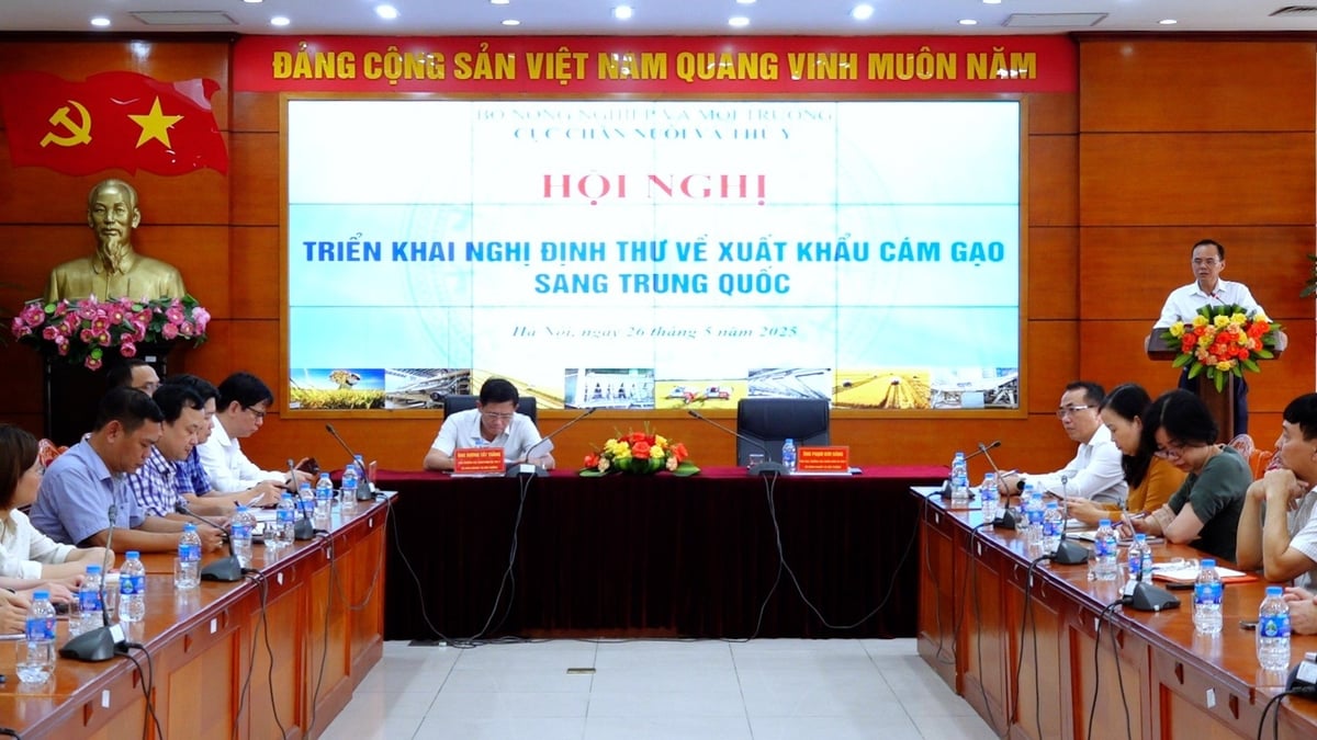 The Department of Livestock Production and Animal Health (Ministry of Agriculture and Environment) has recently held a conference to implement the Protocol on rice bran export to China. Photo: Thanh Thuy. The Department of Livestock Production and Animal Health (Ministry of Agriculture and Environment) has recently held a conference to implement the Protocol on rice bran export to China. Photo: Thanh Thuy.