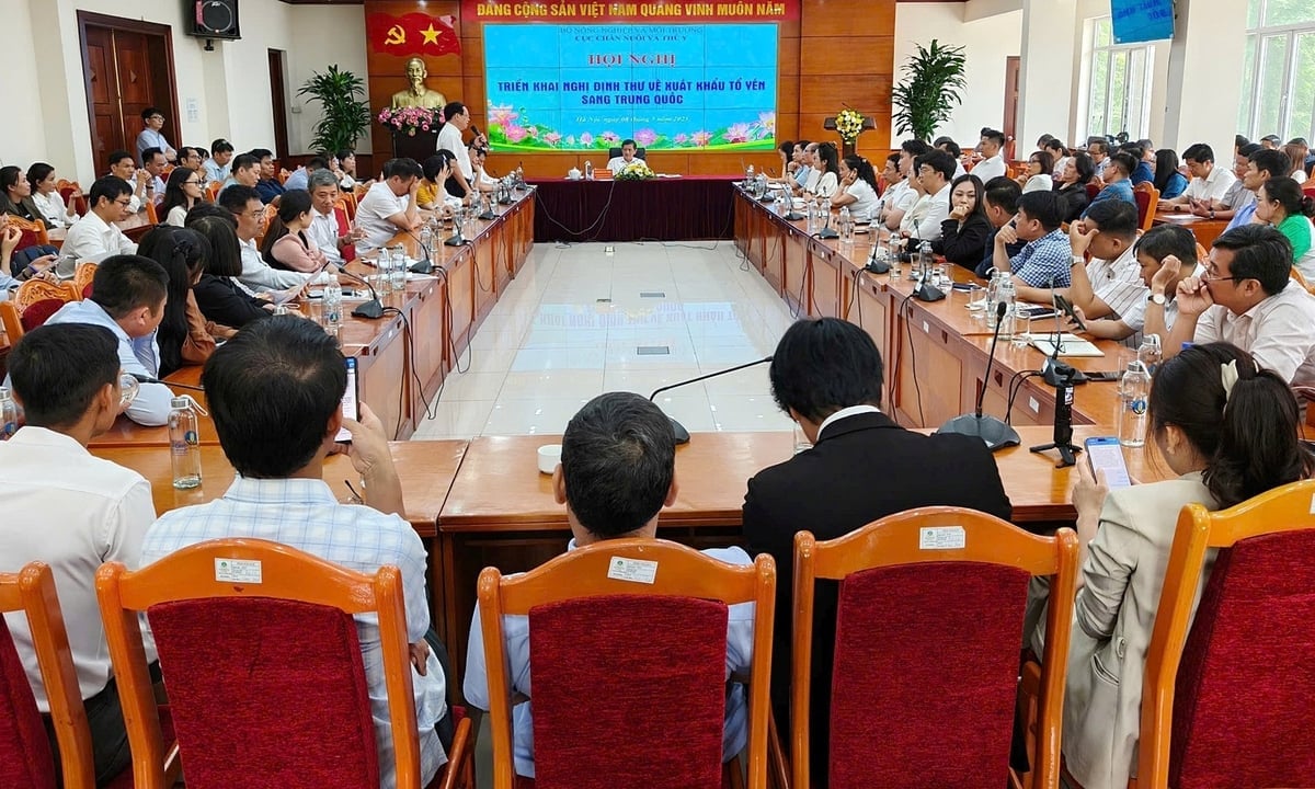 Hội nghị sáng 8/5 thu hút sự quan tâm của đông đảo doanh nghiệp trong ngành hàng yến. Ảnh: Bảo Thắng.