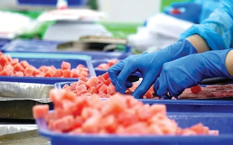 Seafood is one of Vietnam's main exports to Singapore. Seafood is one of Vietnam's main exports to Singapore.