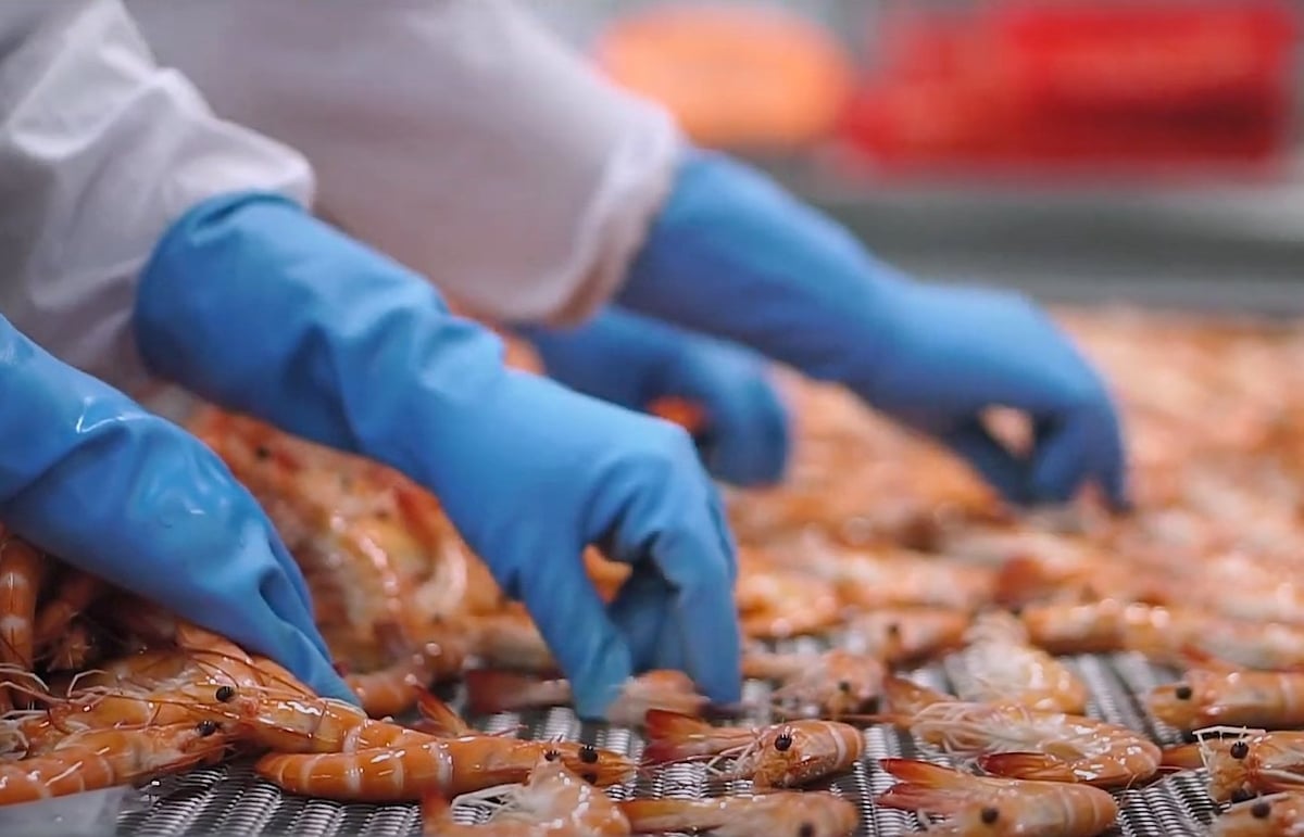 VASEP observed that exporters are still in the process of signing new agreements with U.S. partners, despite the fact that they have been fulfilling existing contracts. Photo: Son Trang.