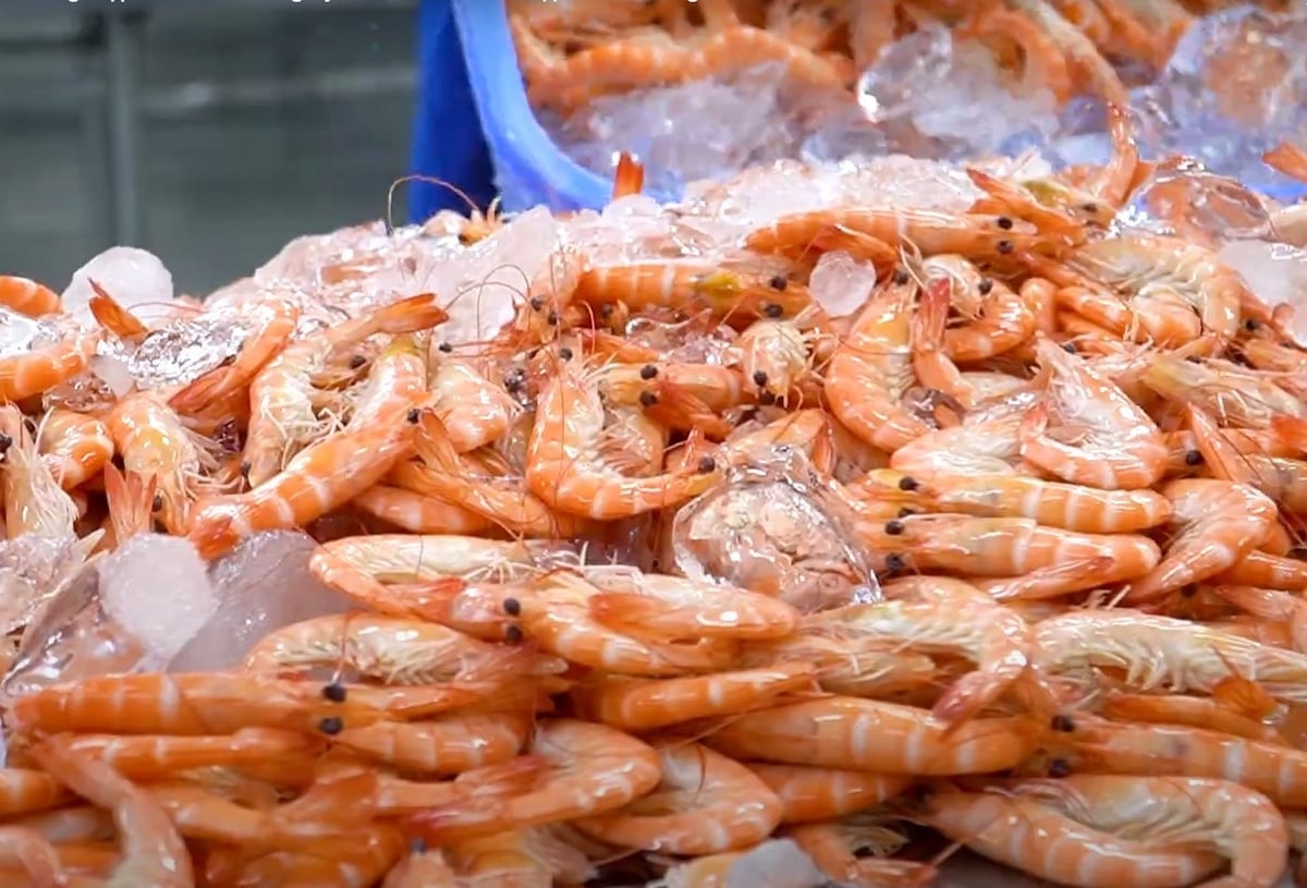 Exporters are increasingly looking to diversify their markets in response to the uncertainties in the U.S. market, and the EU remains a critical market. Photo: Son Trang.