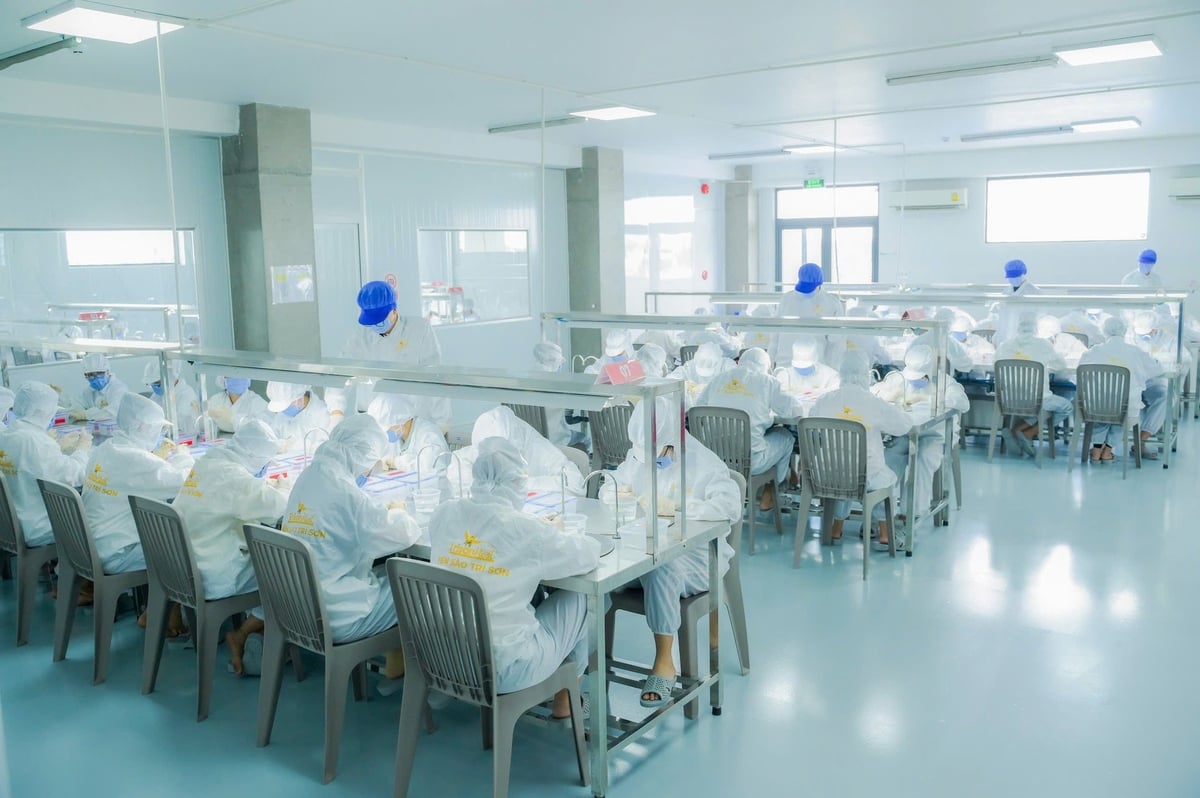 Vietnam’s bird’s nest industry has taken a new step forward since officially exporting to China. Photo: Minh Dam.