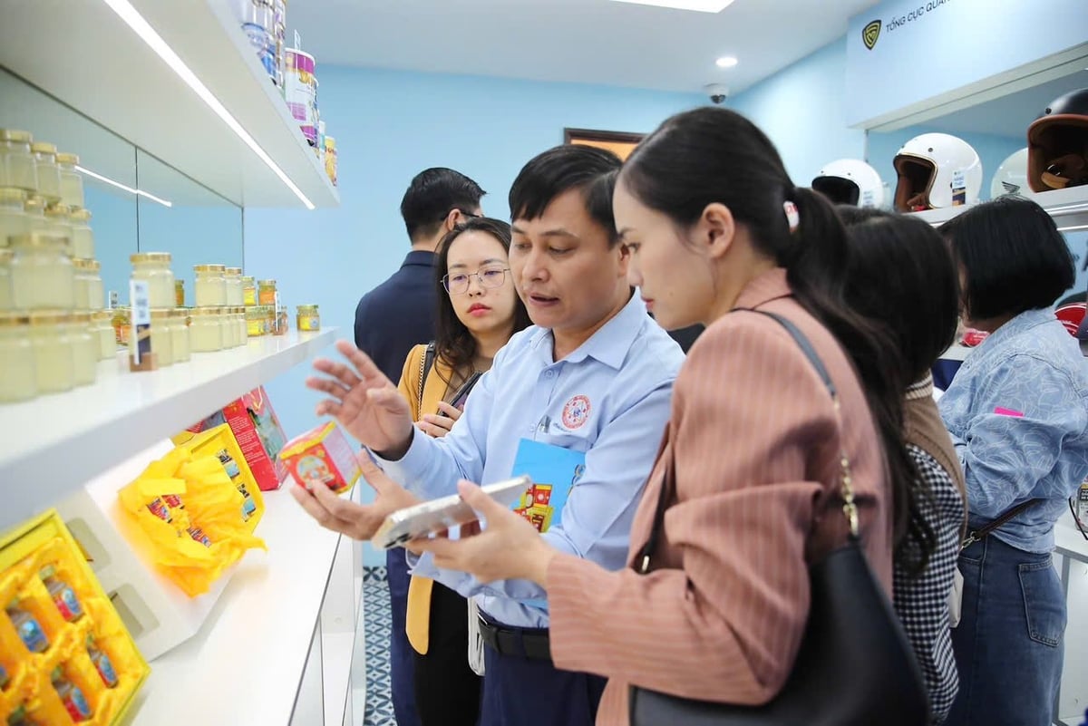 Fake bird’s nest products on display at the Market Surveillance Authority’s exhibition room. Photo: YS. Fake bird’s nest products on display at the Market Surveillance Authority’s exhibition room. Photo: YS.