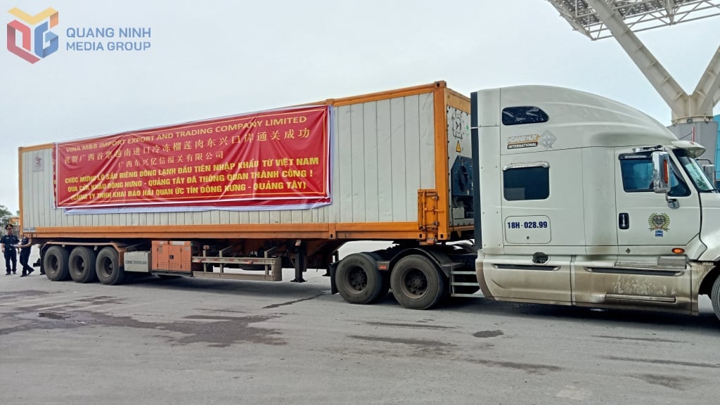 The first batch of frozen durians from Vietnam was successfully exported to the Chinese market. Photo: Baoquangninh.vn.