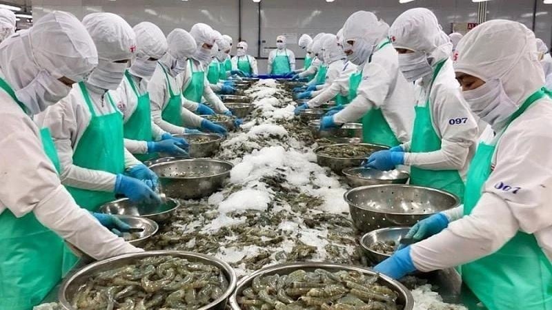 Seafood remains Vietnam’s key strength in exports to the United States. Photo: VAN News.