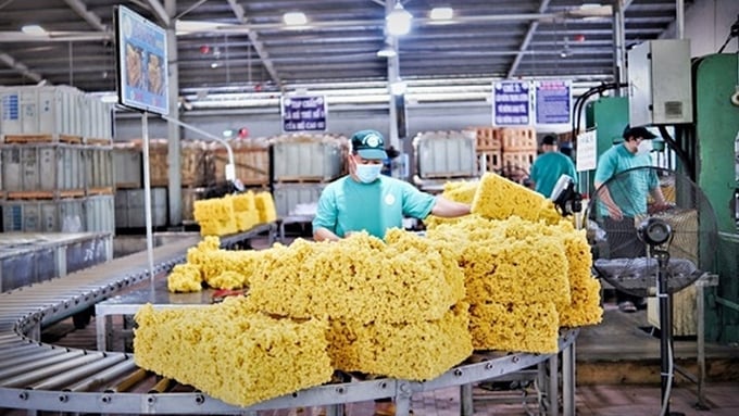 Latest domestic and global rubber prices on June 5, 2025