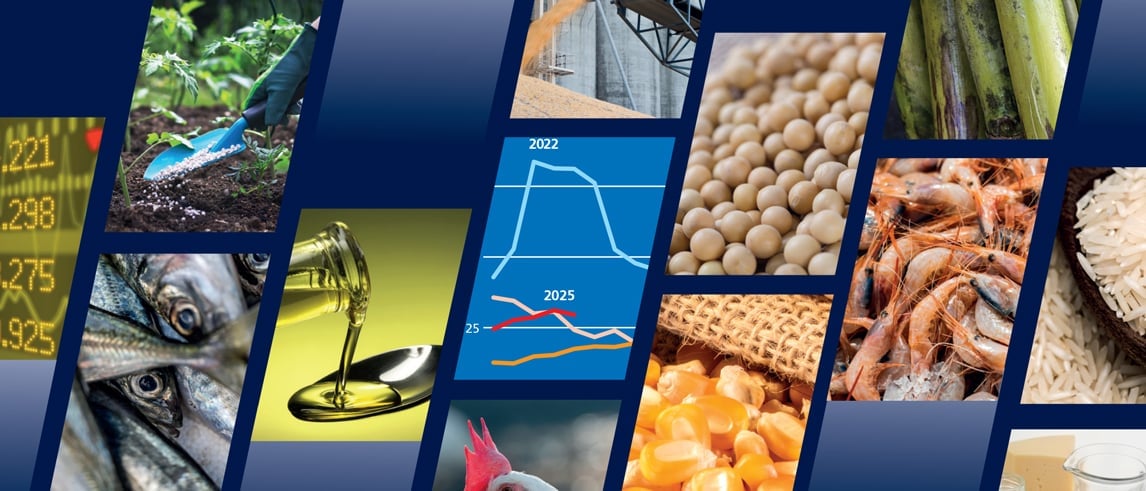 Regarding core agricultural commodities, world output of rice, maize, sorghum and oilseeds are expected to reach new record levels, according to the FAO Food Outlook. Regarding core agricultural commodities, world output of rice, maize, sorghum and oilseeds are expected to reach new record levels, according to the FAO Food Outlook.