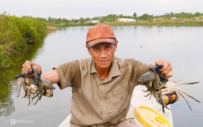 Crab farming combined with high profits in the model. Photo: An Minh