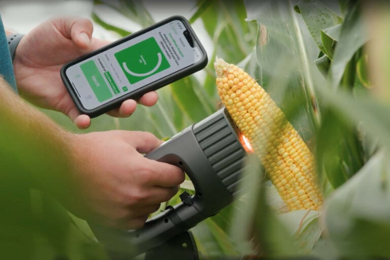 A functional, evidence-based approach to gut health is key to providing practical insights that inform in-field decision making for better animal performance and farm profitability. Photo: AB Vista.