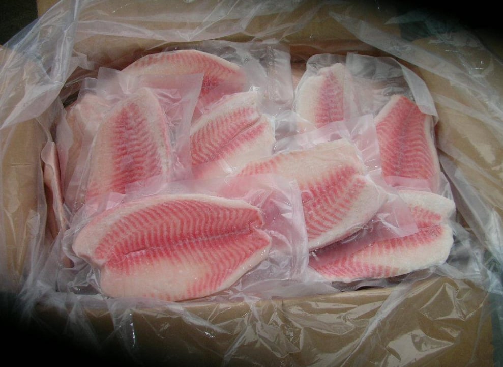 Frozen tilapia fillets are vacuum-packed, ready for export to the US market. Photo: Bossgoo. Frozen tilapia fillets are vacuum-packed, ready for export to the US market. Photo: Bossgoo.