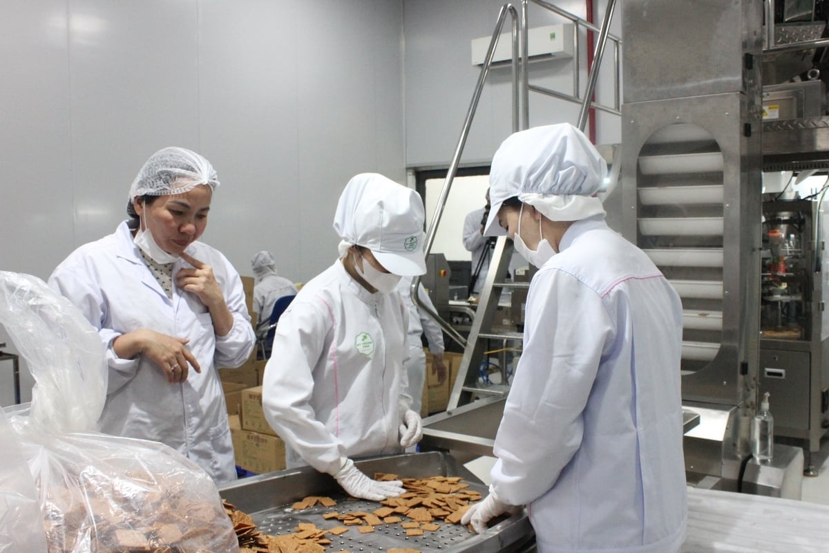 Mrs. Mai Thi Y Nhi inspects product quality before packaging. Photo: Lan Anh. Mrs. Mai Thi Y Nhi inspects product quality before packaging. Photo: Lan Anh.