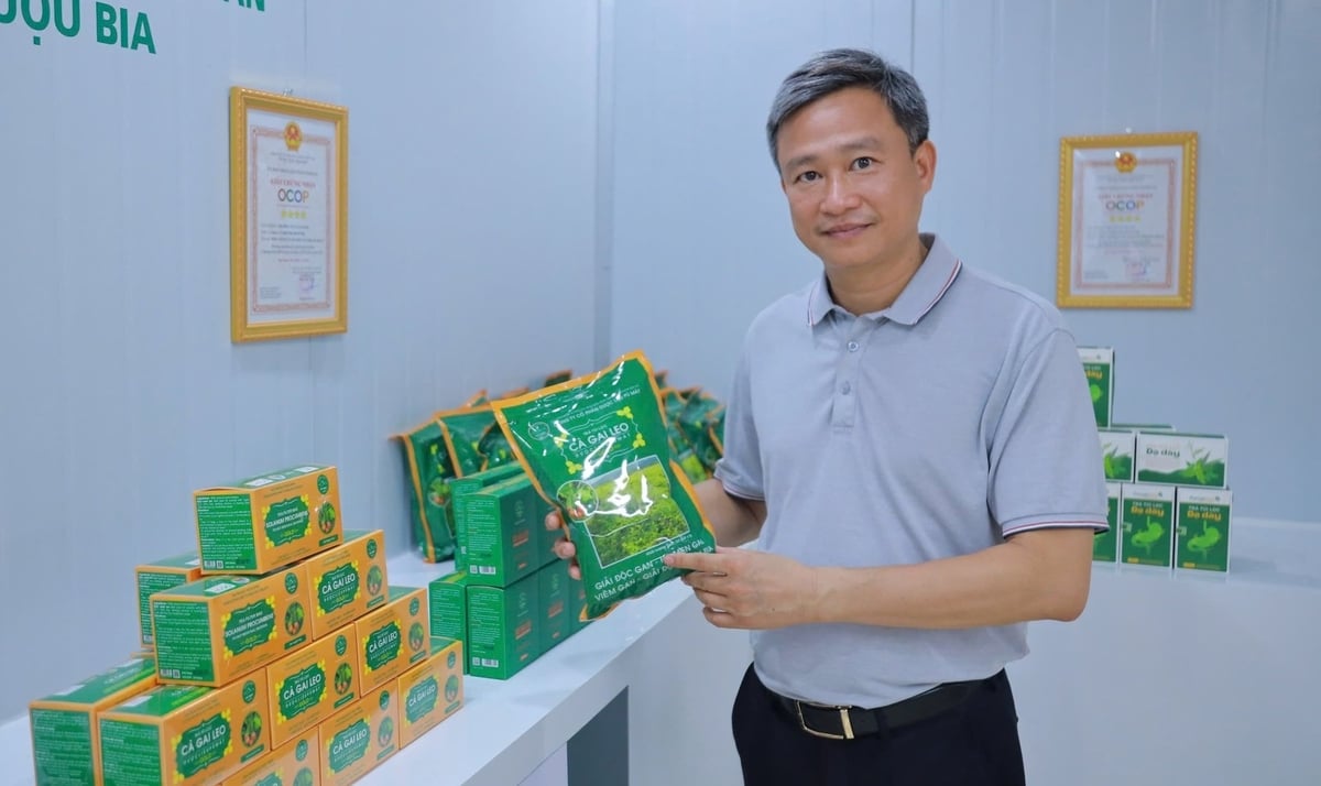 Director Phan Xuan Dien affirms that 'producing the highest quality, safest medicinal herb products' is the company's consistent and unwavering principle. Photo: Viet Khanh. Director Phan Xuan Dien affirms that 'producing the highest quality, safest medicinal herb products' is the company's consistent and unwavering principle. Photo: Viet Khanh.
