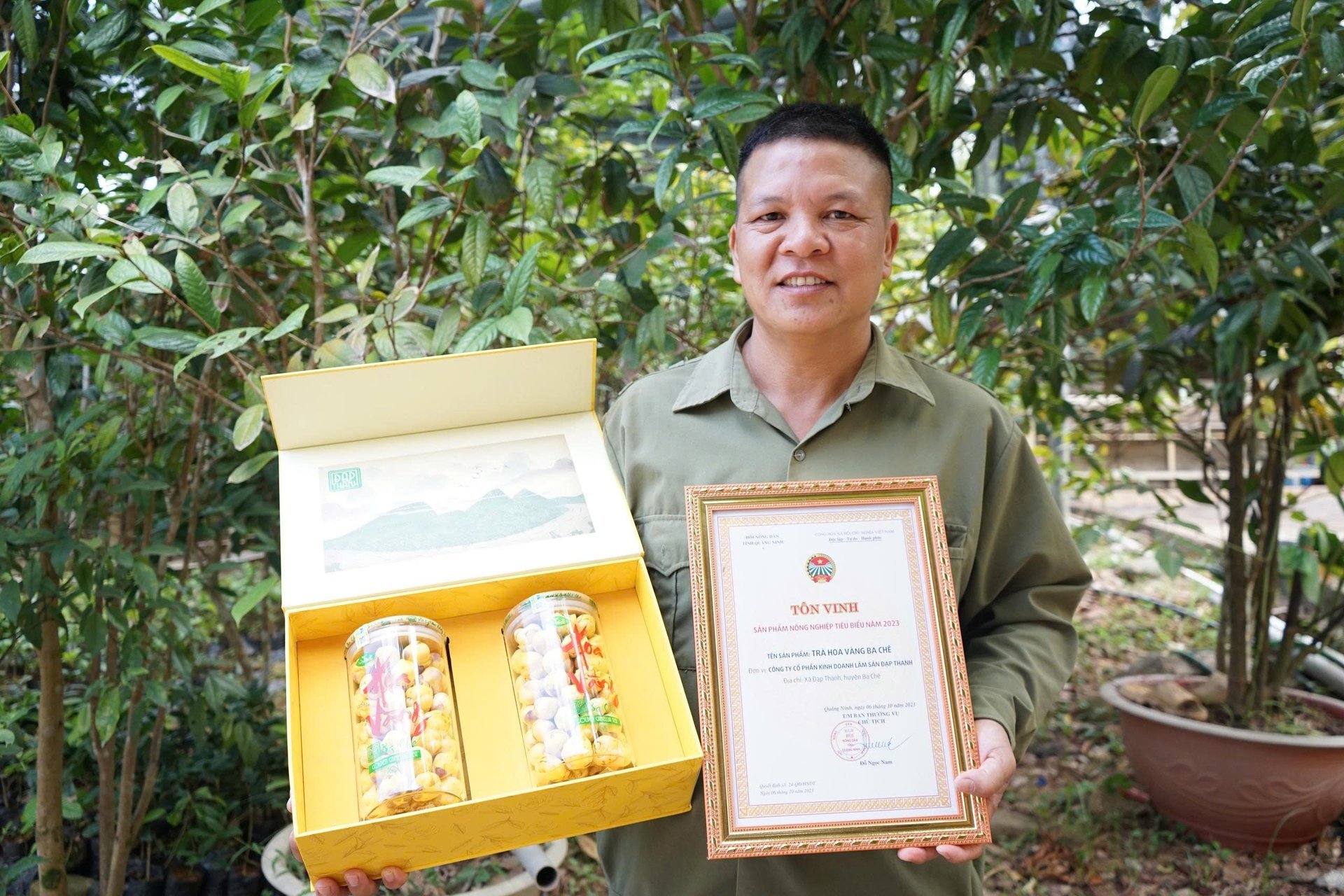 Ba Che golden camellia tea has been recognized as a nationally certified 5-star OCOP product. Photo: Nguyen Thanh.