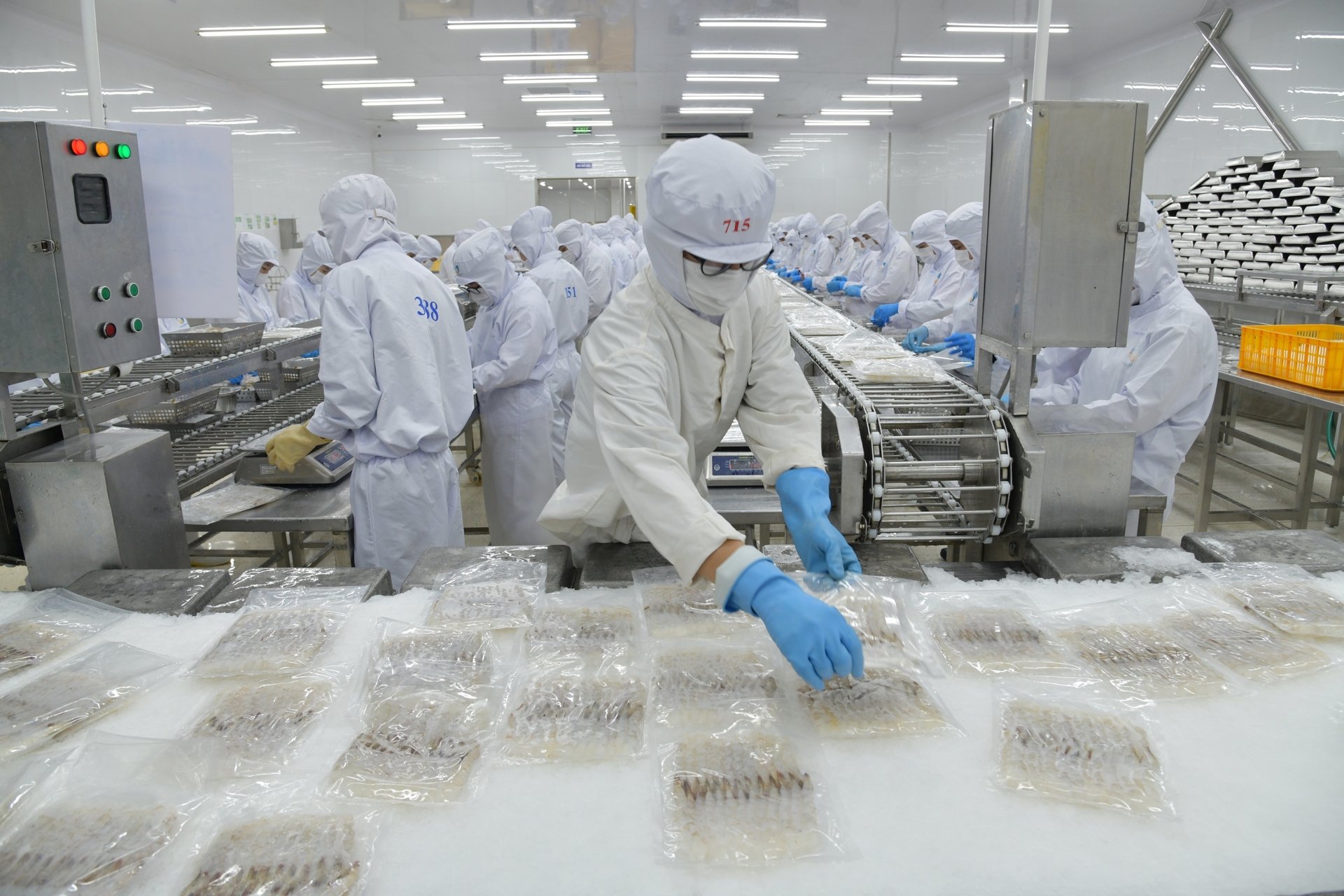 By the end of June 2025, Vietnam's shrimp export turnover reached 2.07 billion USD, up 26% over the same period last year. Photo: Hong Tham. By the end of June 2025, Vietnam's shrimp export turnover reached 2.07 billion USD, up 26% over the same period last year. Photo: Hong Tham.