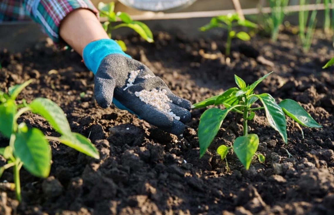 Trade policies and sanctions are playing an increasingly significant role in reshaping global fertilizer markets. Photo: Shutterstock.com. Trade policies and sanctions are playing an increasingly significant role in reshaping global fertilizer markets. Photo: Shutterstock.com.