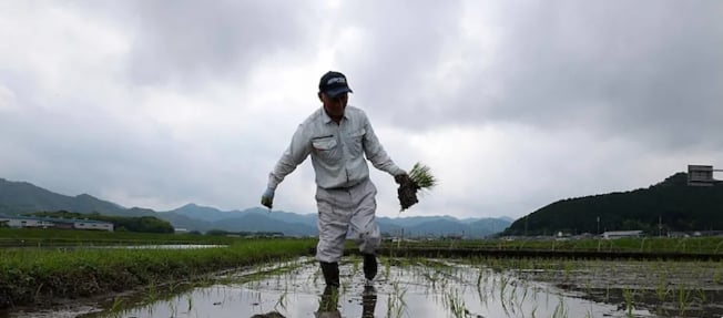 Photo: Buddhika Weerasinghe/Getty Images.