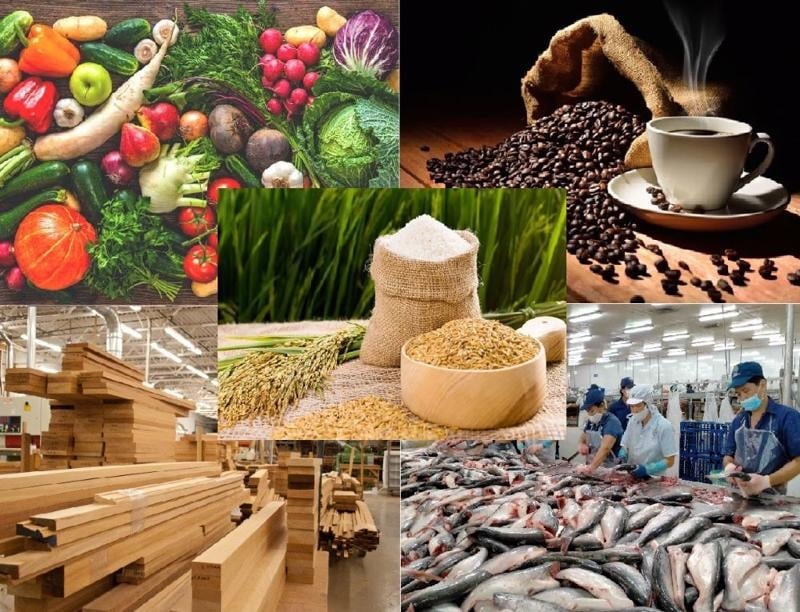 The Ministry of Agriculture and Environment issued a Plan to boost the export of agricultural, forestry, and fishery products in 2025 to achieve the export target of USD 65 billion. Photo: Minh Hoang.