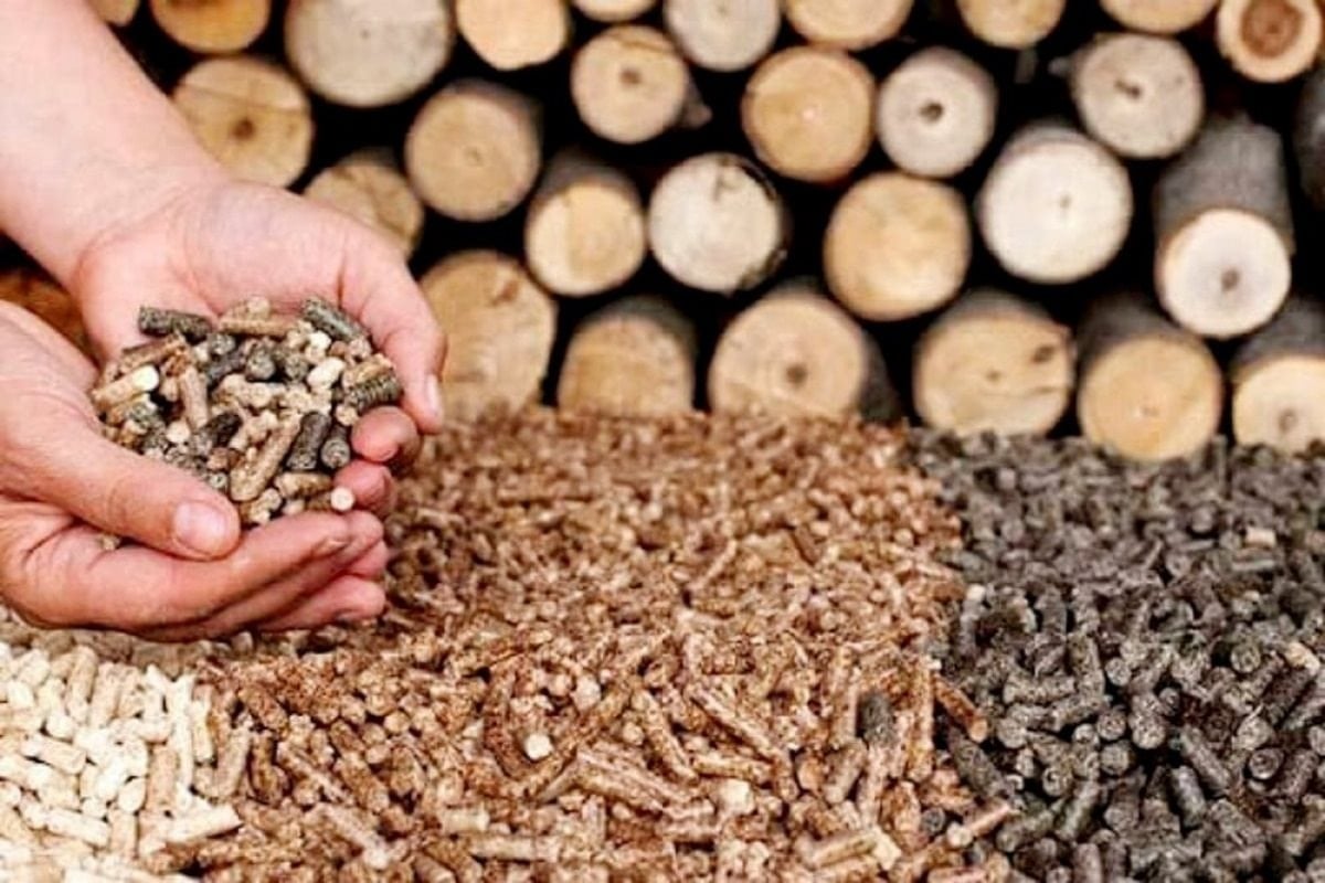 In addition to export value, wood pellets also help utilize by-products in the production process. Illustration photo.