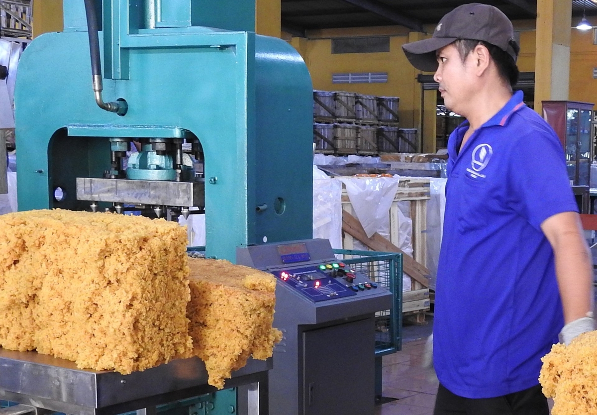 Rubber pressing at the Ba Ria Rubber Joint Stock Company. Photo: Son Trang.