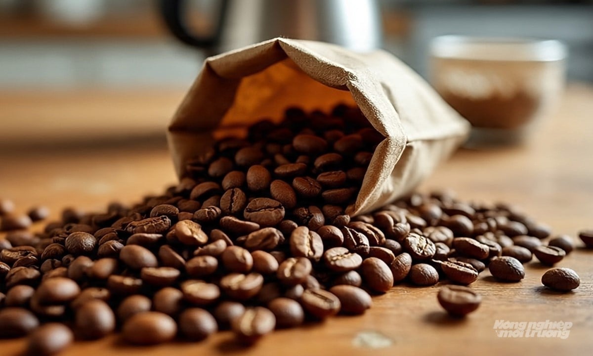 Latest domestic and global coffee prices on August 5, 2025