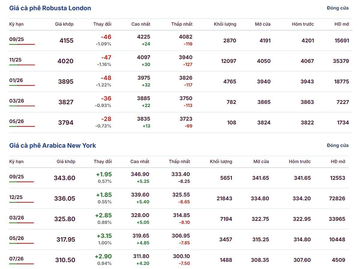 Latest update on Arabica and Robusta prices on August 19, 2025