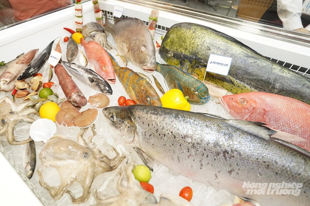 EU is the world’s largest seafood consumption market, with an annual value of USD 60 billion. However, Vietnam’s seafood export turnover to this market has reached only USD 1.04 billion. Photo: Nguyen Thuy.