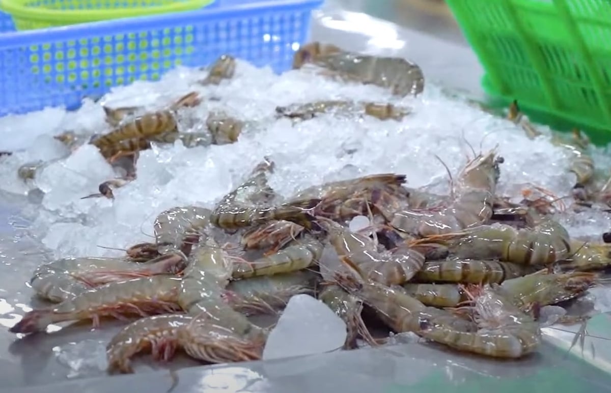 Vietnamese frozen shrimp exports to the U.S. will face major challenges due to the 'tax-on-tax' situation. Photo: Thanh Son.
