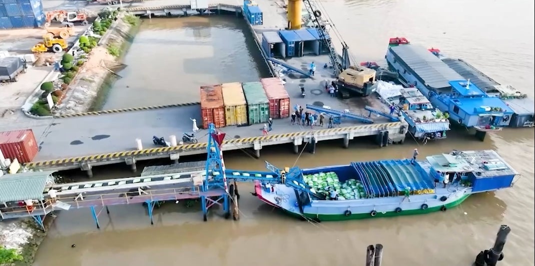 Since re-entering the global rice market in 1989, Vietnam has consistently ranked among the world's top rice exporters. Photo: VAN.