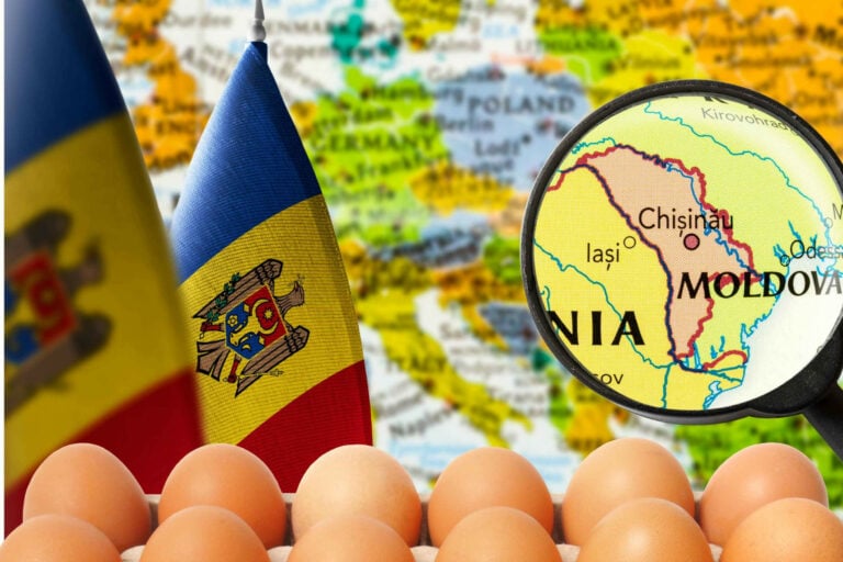 Moldova has come close to self-sufficiency in egg production. During the first 6 months of the year, the country imported only 868,000 eggs, against 18.3 million in 2022. Photo: Canva.