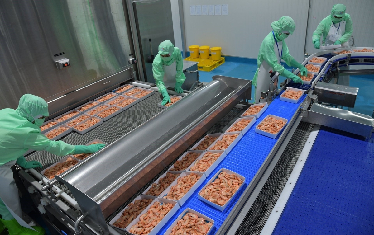 Vietnam's shrimp industry needs to upgrade its products toward value-added lines, aligned with ASC, organic, and sustainability certifications, to boost competitiveness in market segments that are less sensitive to price. Photo: Hong Tham.