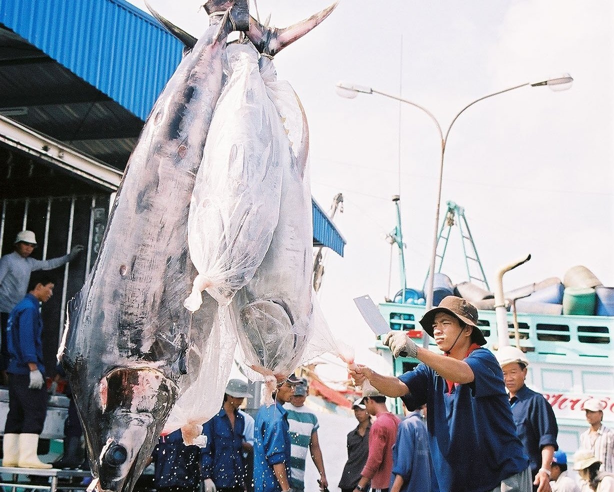 Mr. Nguyen Hong Dien, Vietnam’s Minister of Industry and Trade, sent a letter to U.S. Secretary of Commerce Howard Lutnick, urging the DOC and NOAA to reconsider their decision to refuse recognition of the equivalence of 12 Vietnamese fishing methods under the U.S. Marine Mammal Protection Act (MMPA). Photo: Hong Tham.