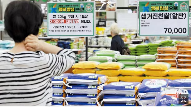 A consumer looking at a rice sales display at a large supermarket in Seoul on the 3rd. According to the Korea Agro-Fisheries & Food Trade Corporation, on the 2nd, the average retail price of 20kg of rice rose 17.2% from the previous year to 60,294 won. Photo: Yonhap. A consumer looking at a rice sales display at a large supermarket in Seoul on the 3rd. According to the Korea Agro-Fisheries & Food Trade Corporation, on the 2nd, the average retail price of 20kg of rice rose 17.2% from the previous year to 60,294 won. Photo: Yonhap.