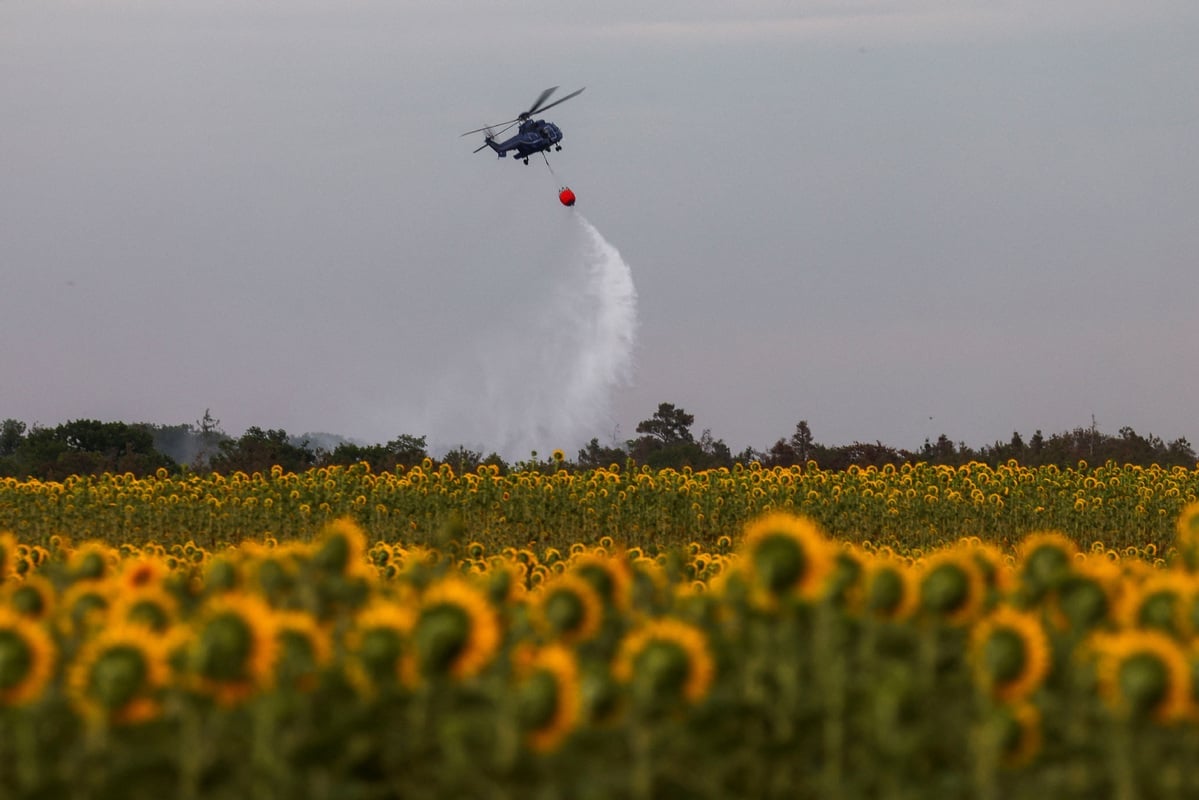 Firefighters use a helicopter to battle a wildfire caused by extreme drought conditions near Zeithain, Germany on July 6. Photo: CHRISTIAN MANG/REUTERS.