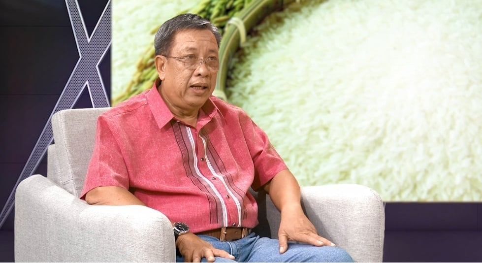 Mr. Le Thanh Tung, Deputy Director General of the Department of Crop Production and Vice Chairman of the Vietnam Rice Sector Association. Photo: VAN. Mr. Le Thanh Tung, Deputy Director General of the Department of Crop Production and Vice Chairman of the Vietnam Rice Sector Association. Photo: VAN.