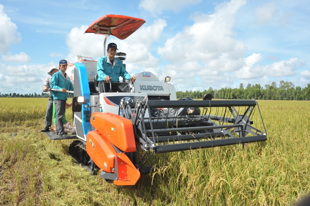 Mekong Delta farmers harvest rice. Photo: Le Hoang Vu. Mekong Delta farmers harvest rice. Photo: Le Hoang Vu.
