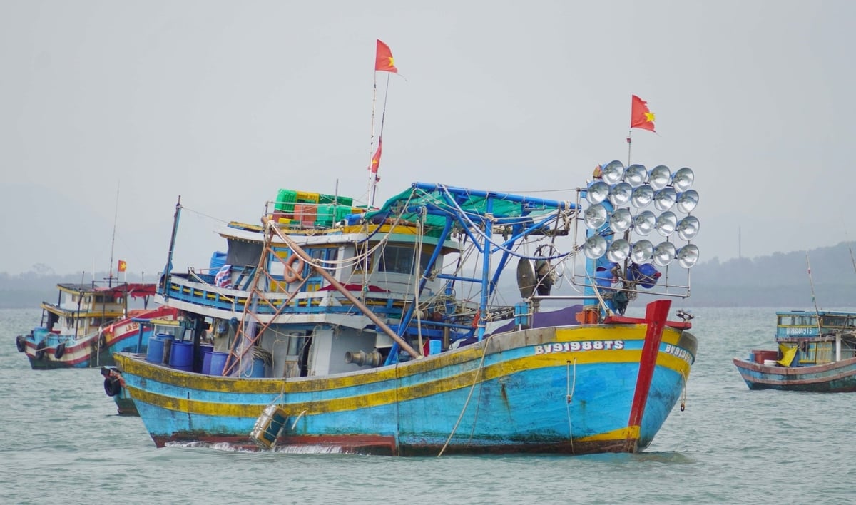 The IUU 'yellow card' is one of the toughest bottlenecks preventing Vietnamese seafood from accessing the EU market. Photo: Le Binh. The IUU 'yellow card' is one of the toughest bottlenecks preventing Vietnamese seafood from accessing the EU market. Photo: Le Binh.