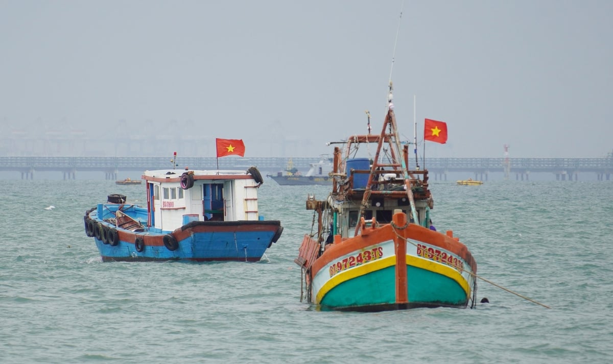 Vietnam is making efforts through multiple measures to promptly address the outstanding tasks recommended by the EC in order to lift the IUU yellow card. Photo: Le Binh. Vietnam is making efforts through multiple measures to promptly address the outstanding tasks recommended by the EC in order to lift the IUU yellow card. Photo: Le Binh.