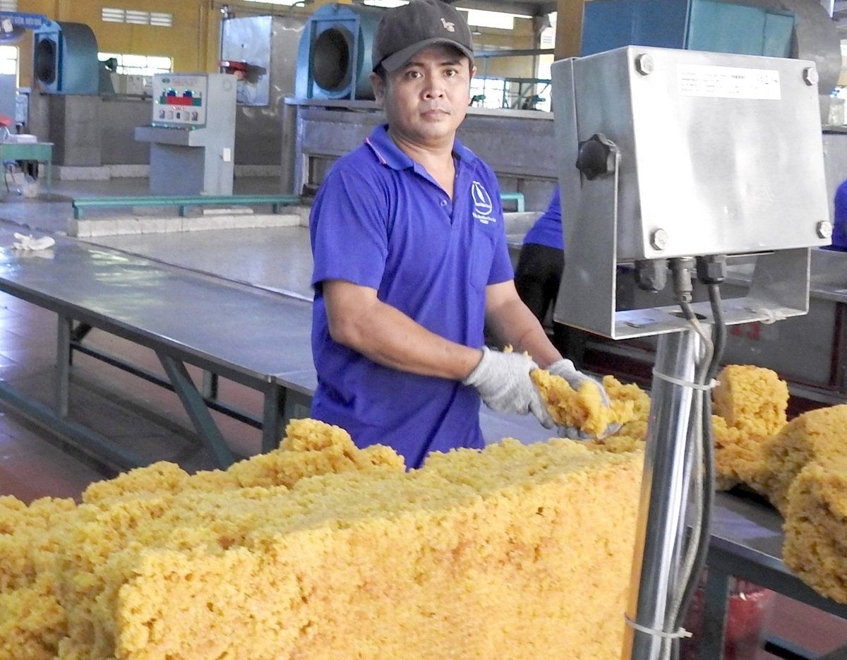 Processing rubber latex at a factory of the Vietnam Rubber Industry Group. Photo: Son Trang.