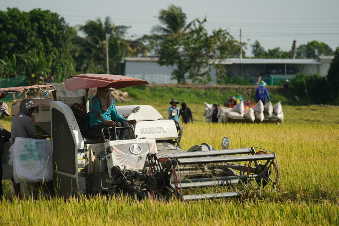 Although machinery participating in many stages of production, agriculture is still less attractive to many young workers. Photo: Ngoc Tai